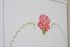 Armoire 2 ou 3 Portes Rose